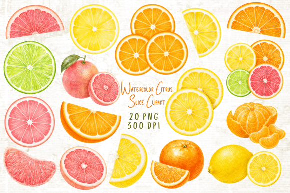 Download Watercolor Citrus Slice Clipart PNG - Art Collection