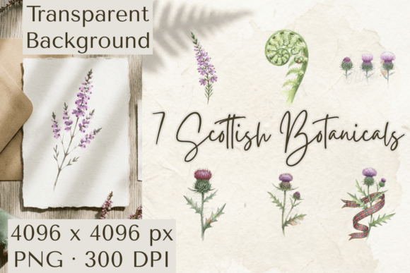 Download Scottish Botanical Clipart PNG Thistle - Art Collection