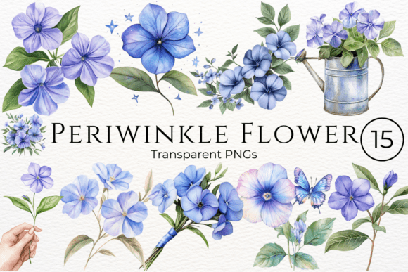 Download Periwinkle Flower Watercolor Cliparts - Art Collection
