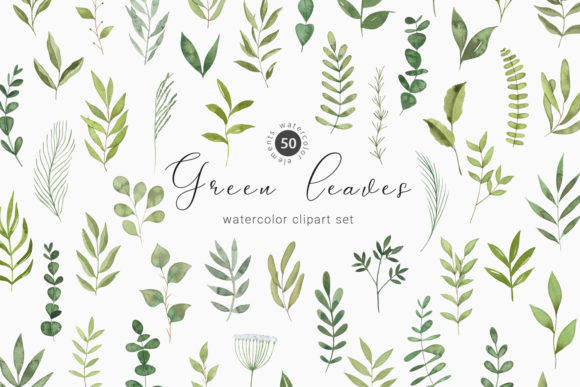 Download Watercolor Greenery Botanical Clipart - Art Collection