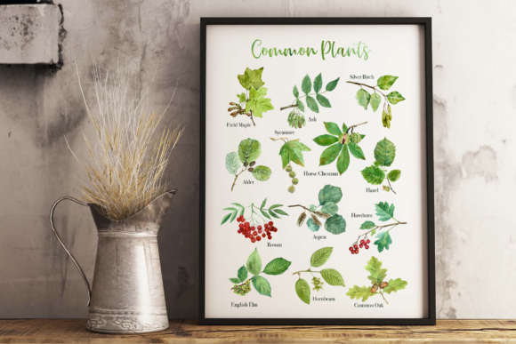 Download Common Plants Clip Arts and Poster - Art Collection