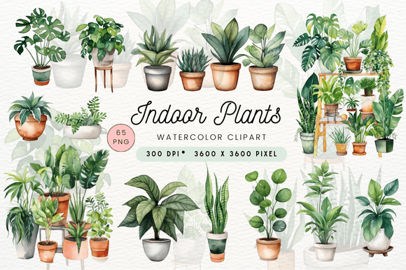 Download Watercolor Indoor Plants Clipart - Art Collection