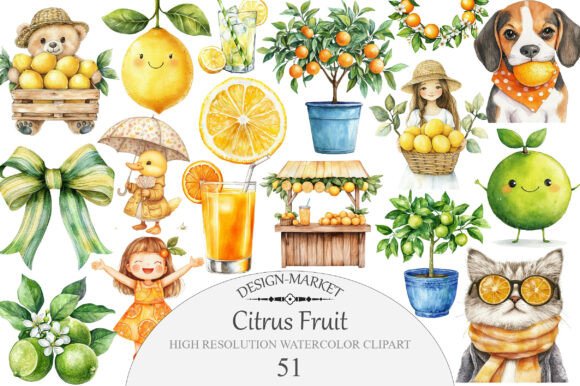 Download Citrus Fruit Clipart - Art Collection
