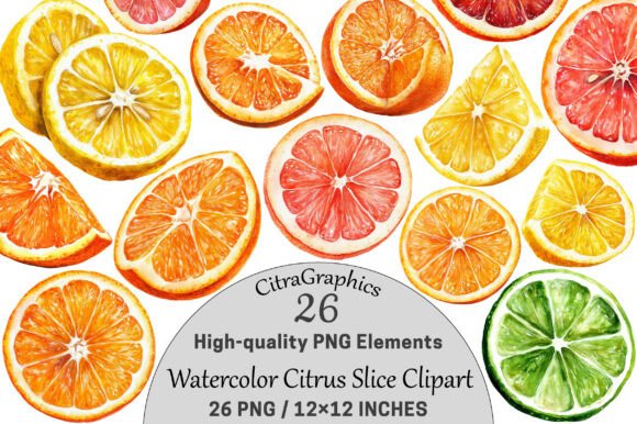 Download Watercolor Citrus Slice Clipart PNG. - Art Collection