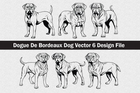 Download Dogue De Bordeaux Dog SVG - Bordeaux Collection
